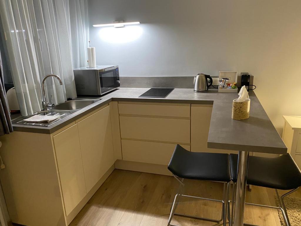 Spacious Studio Knokke-Heist Dış mekan fotoğraf