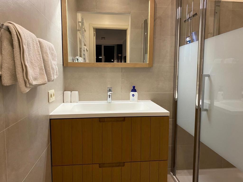 Spacious Studio Knokke-Heist Dış mekan fotoğraf